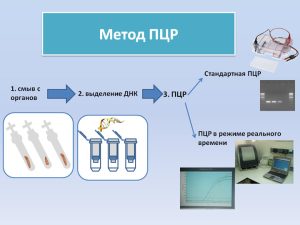 как избежать ложноположительного анализа на гепатит С