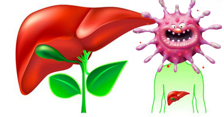 лечение гепатита с народными средствами