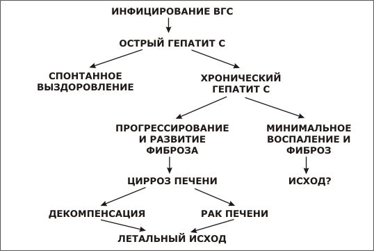 схема развития гепатита