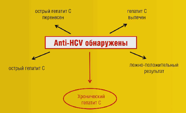 виды анализов на гепатит С