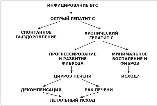 работа в детском саду c Гепатитом Ц