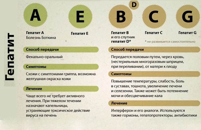 анализа мочи при гепатите