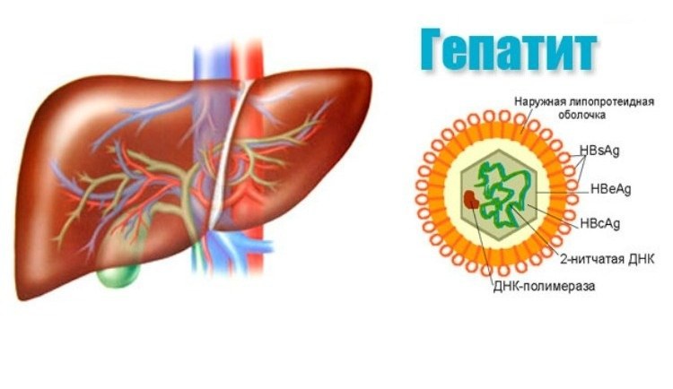как проходит лечение Гепатита С