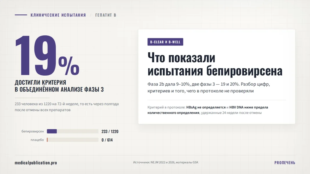 Инфографика по клиническим испытаниям бепировирсена: крупная цифра 19 процентов достигших критерия в объединённом анализе фазы 3, 233 человека из 1220, и полоса сравнения с плацебо — 0 из 614