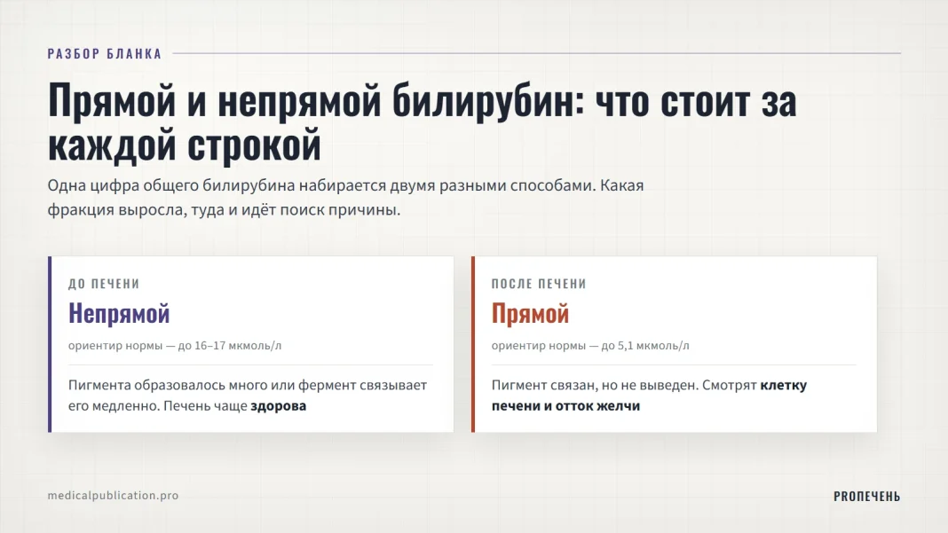 Бланк биохимического анализа крови с двумя строками билирубина — прямым и непрямым, обозначенными разными цветами