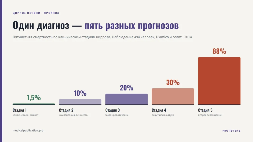 Столбчатая диаграмма пятилетней смертности по пяти клиническим стадиям цирроза печени: 1,5%, 10%, 20%, 30% и 88%
