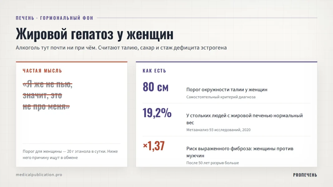 Обложка в две колонки: слева зачёркнутая фраза «Я же не пью, значит, это не про меня» и порог 20 г этанола в сутки, справа три цифры — талия 80 см, 19,2% жировой печени при нормальном весе, риск выраженного фиброза у женщин в 1,37 раза выше
