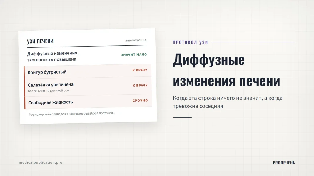 Бланк заключения УЗИ печени: строка о диффузных изменениях отмечена как значащая мало, строки о бугристом контуре, увеличенной селезёнке и свободной жидкости — как повод идти к врачу