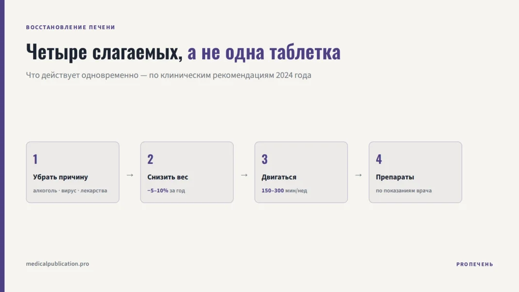 Путь-схема из четырёх шагов восстановления печени: убрать причину, снизить вес на 5–10% за год, двигаться 150–300 минут в неделю, препараты по показаниям врача