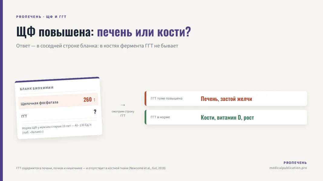 Бланк анализа с повышенной щелочной фосфатазой и строкой ГГТ, от которой зависит вывод — печень это или кости