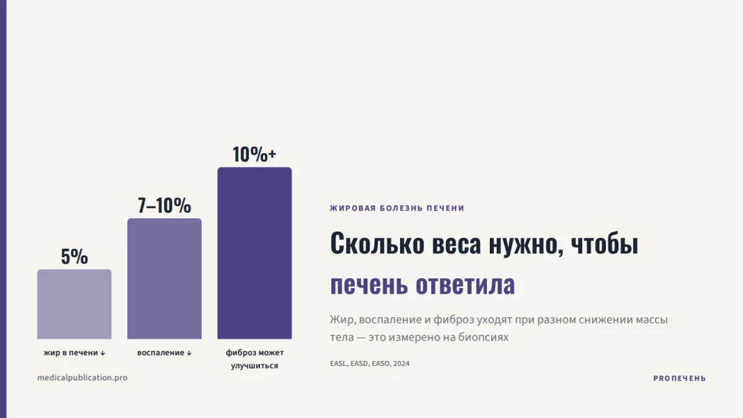 Лестница из трёх ступеней — 5%, 7–10% и 10%+ снижения веса — с подписями, что уходит на каждом уровне: жир, воспаление, фиброз