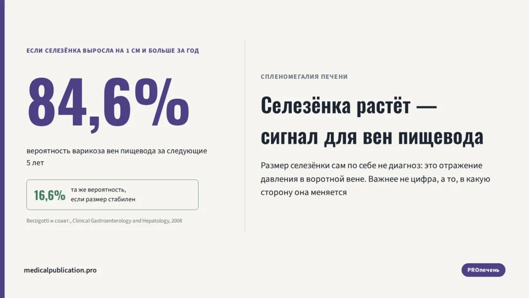 Инфографика: риск варикоза вен пищевода за 5 лет — 84,6% при растущей селезёнке против 16,6% при стабильном размере