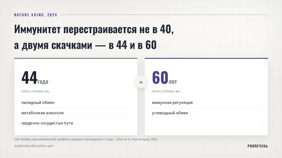 Две карточки сравнения: перестройка в 44 года (липидный обмен, алкоголь, сердечно-сосудистые пути) и в 60 лет (иммунная регуляция, углеводный обмен) по данным Nature Aging 2024