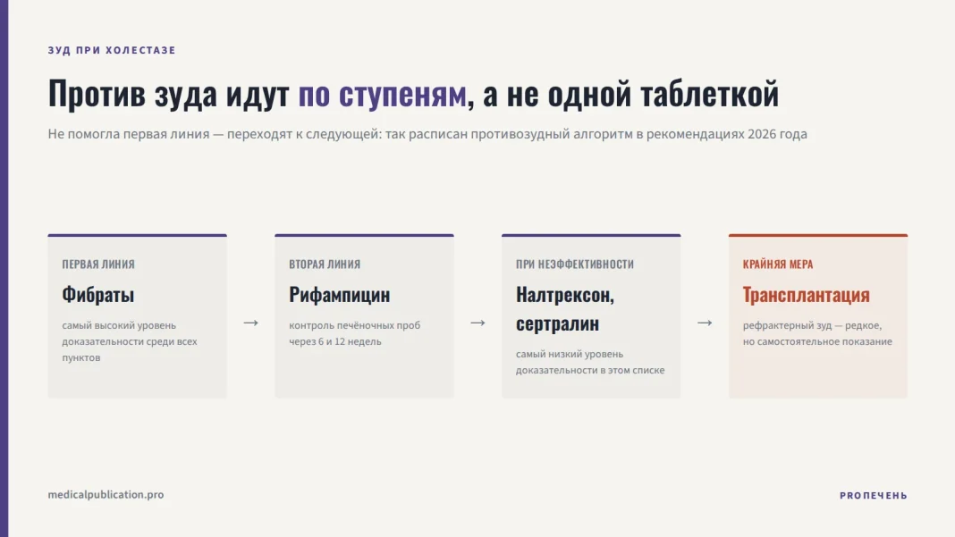 Четыре ступени лечения зуда при холестазе: фибраты, рифампицин, налтрексон с сертралином, трансплантация как крайняя мера