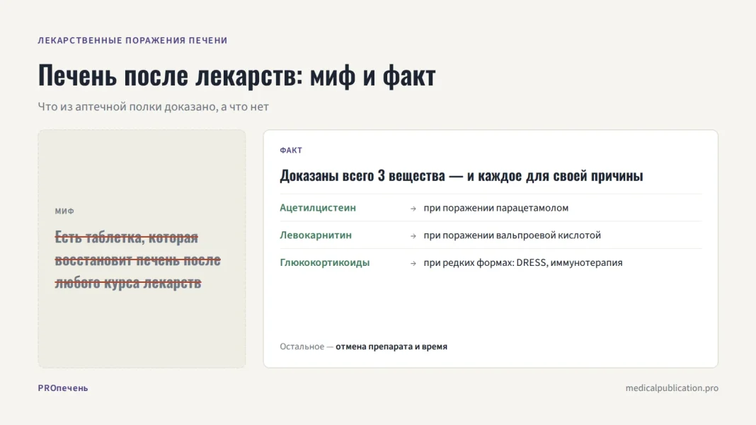 Миф о таблетке для восстановления печени против факта: три доказанных вещества, каждое для своей причины поражения