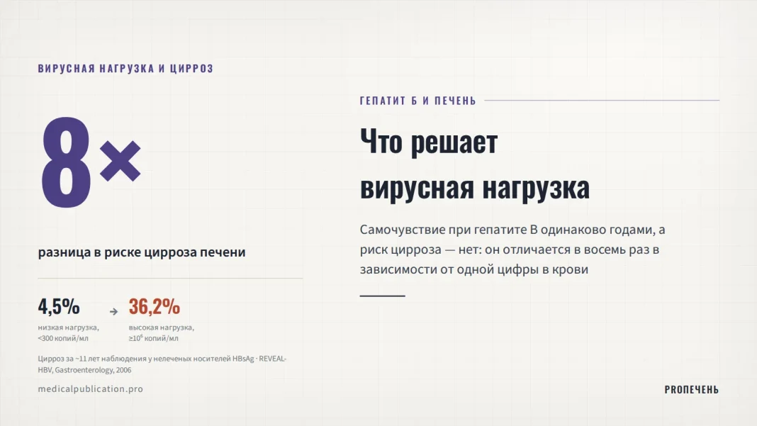 Инфографика: цифра 8× — разница в риске цирроза печени между низкой и высокой вирусной нагрузкой при гепатите B, с цифрами 4,5% и 36,2% из исследования REVEAL-HBV