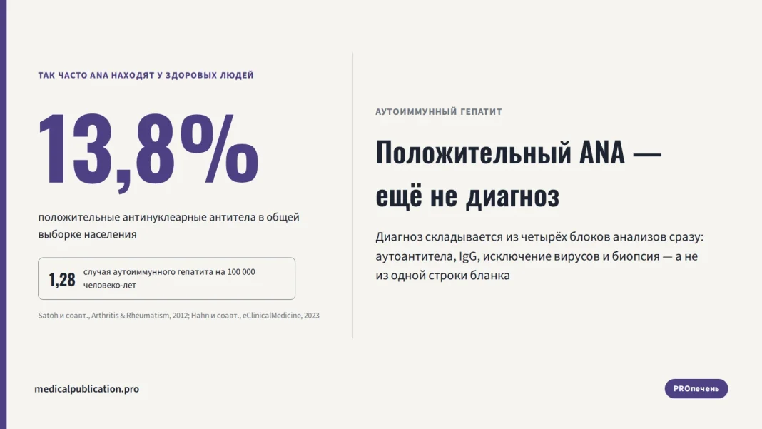 Обложка: цифра 13,8% — доля здоровых людей с положительными ANA, в контрасте с 1,28 случая аутоиммунного гепатита на 100 000 человеко-лет, заголовок «Положительный ANA — ещё не диагноз»