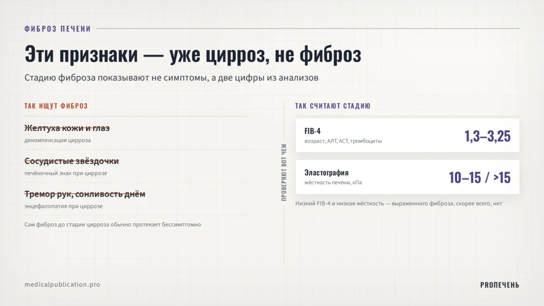 Зачёркнутые признаки цирроза (желтуха, сосудистые звёздочки, тремор) слева против двух реальных показателей стадии фиброза справа — FIB-4 и эластография в кПа