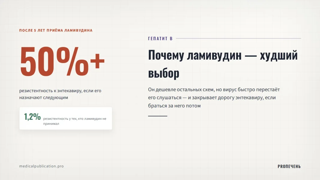 Цифра 50% — резистентность к энтекавиру после 5 лет приёма ламивудина — против 1,2% у тех, кто его не принимал