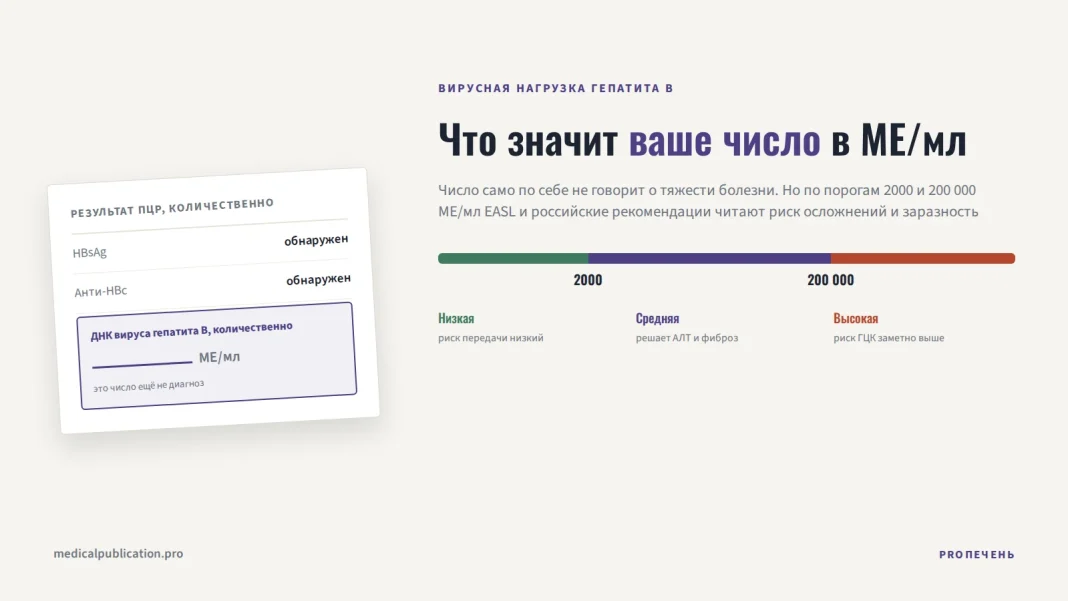 Бланк ПЦР-анализа со строкой «ДНК вируса гепатита B, количественно» и шкала порогов 2000 и 200 000 МЕ/мл с зонами риска