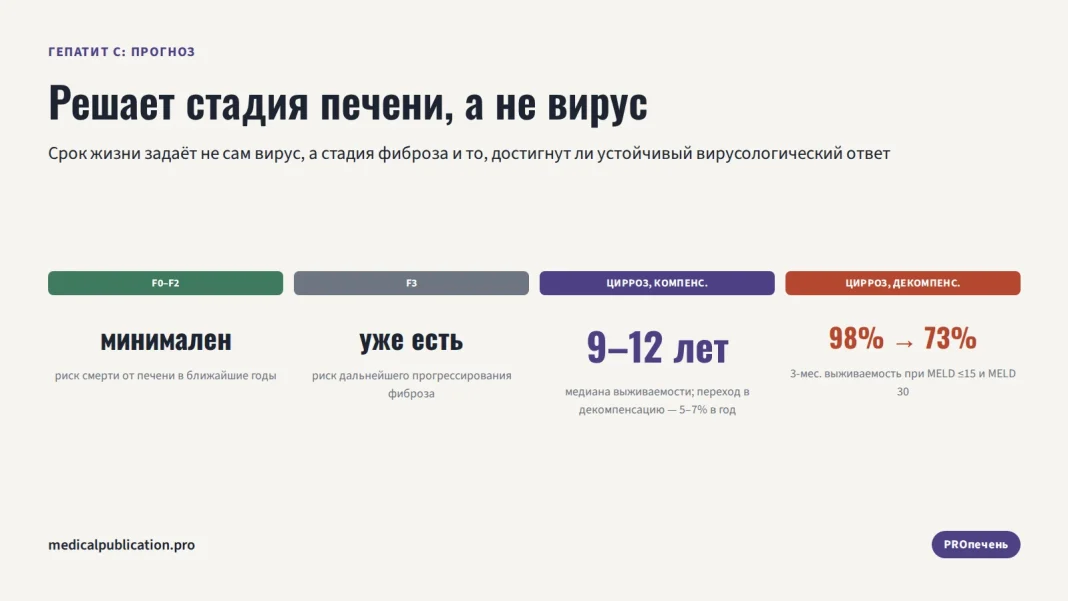 Шкала стадий печени при гепатите С от F0–F2 до декомпенсированного цирроза с цифрами выживаемости по каждой стадии