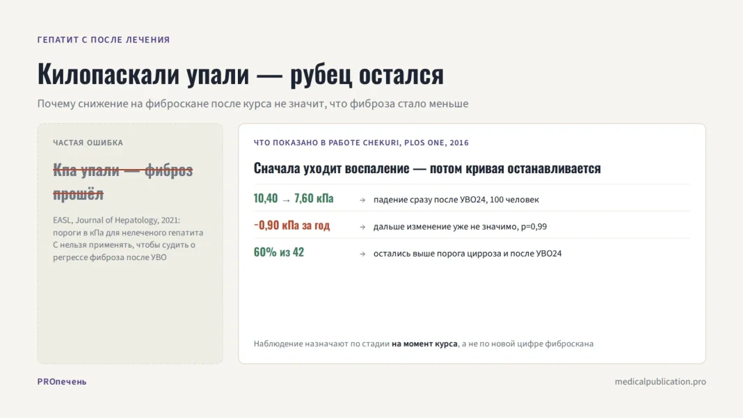 Карточка миф/факт: перечёркнуто «кПа упали — фиброз прошёл», рядом данные Chekuri 2016 — падение с 10,40 до 7,60 кПа и плато −0,90 кПа за год