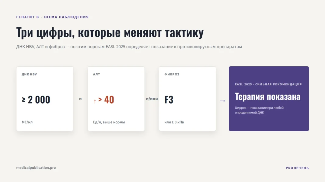 Три карточки-критерия — ДНК HBV ≥2000 МЕ/мл, АЛТ выше 40 Ед/л, фиброз F3 — со стрелкой к выводу «Терапия показана» по EASL 2025